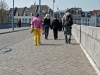pinkandyellow.jpg