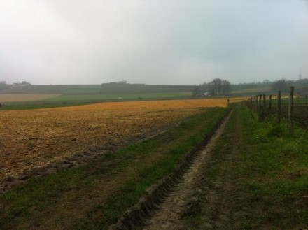 // onder grijze lucht / lichten velden goudgeel op…