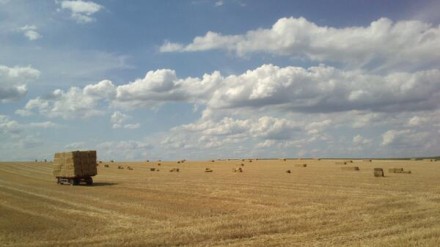 // zomers stilleven / met zongedroogde balen / en…